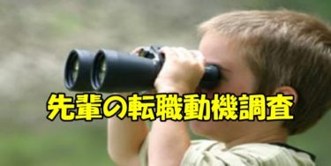 薬剤師転職と看護師転職の失敗を実例で適材適所を知る極意