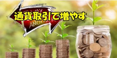 女性の参加者が多い通貨取引のFX投資でハイリターンを紐解く