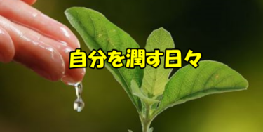 転職こそ自分磨きと組織の適性を検証するチャンス